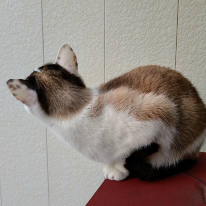 6f486e86 c7d3 473c 8a96 48ac53ae1cd7 1519390087390