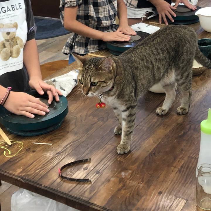 6f488619 1a2d 4e0e 8466 0dd5bedf90ec 1659499018478