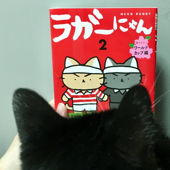 6f48bffc 572c 4bd6 b469 751aed13771f 1570374722228