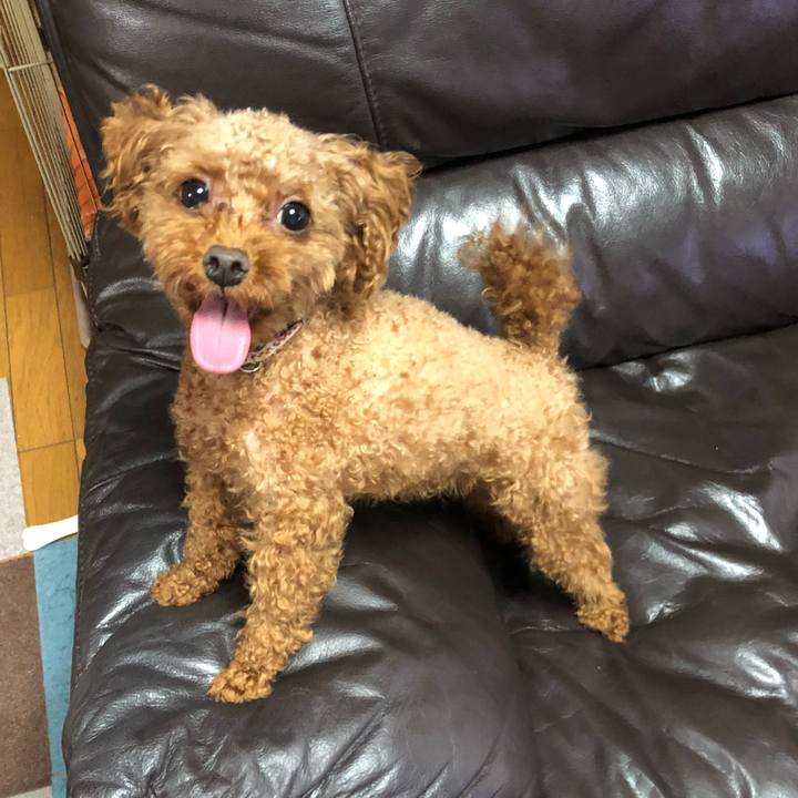 6f48d4df a653 4ec4 87f5 12e0cf8be21a 1533855082792