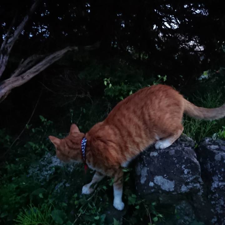 6f48f07e 7541 4358 aa16 82dc850ba4bb 1568884511357