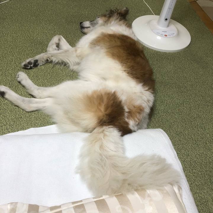 6f48fac4 34a4 4ef9 ab92 139b15cef70a 1541543430277