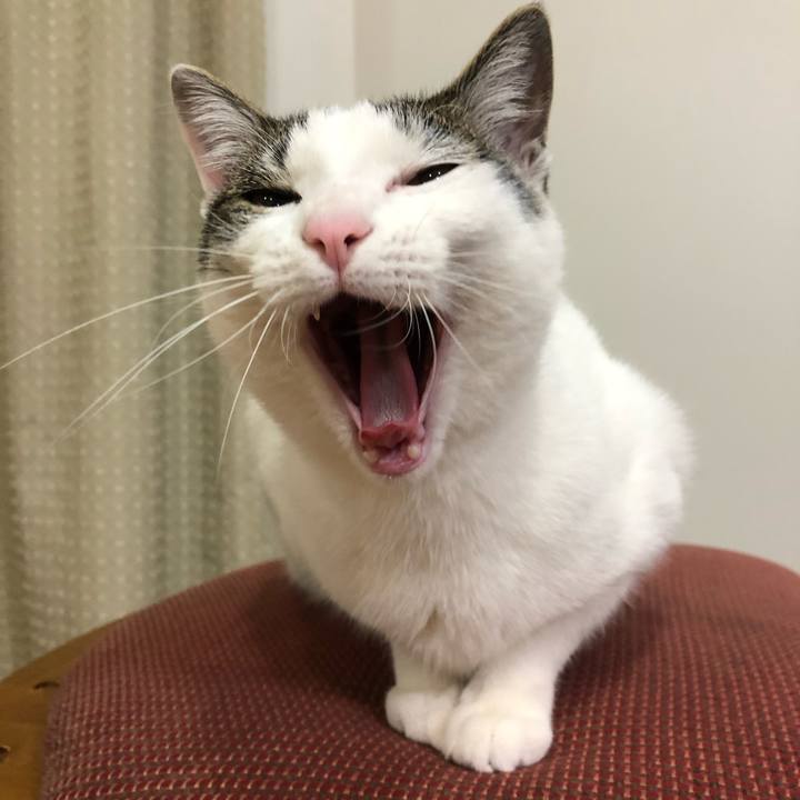 6f49135f ed65 4b64 8e69 cb2fe6f91e53 1588161975114