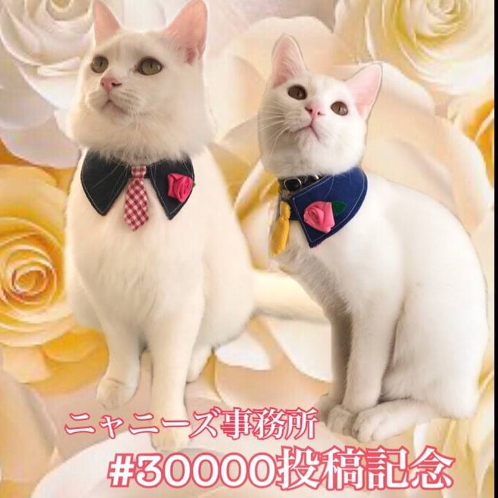 6f496aa1 0ab8 4ffb 9071 c339793ecb94 1576395355784