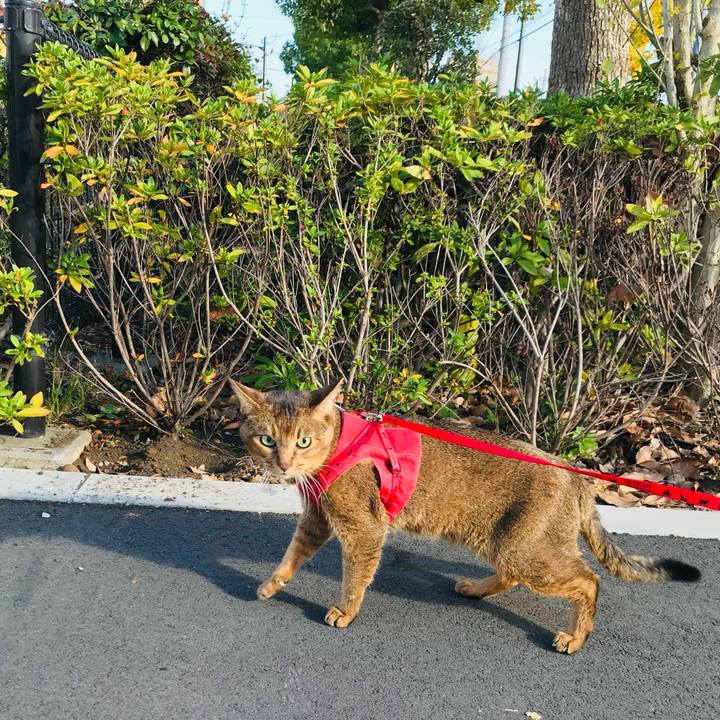 6f49b5a1 e196 4464 ab19 596d6aee64f5 1764070755990