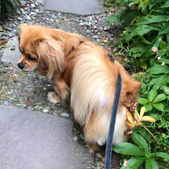 6f4a0494 13b1 49ff a2d4 228dd21f7d30 1527542894474