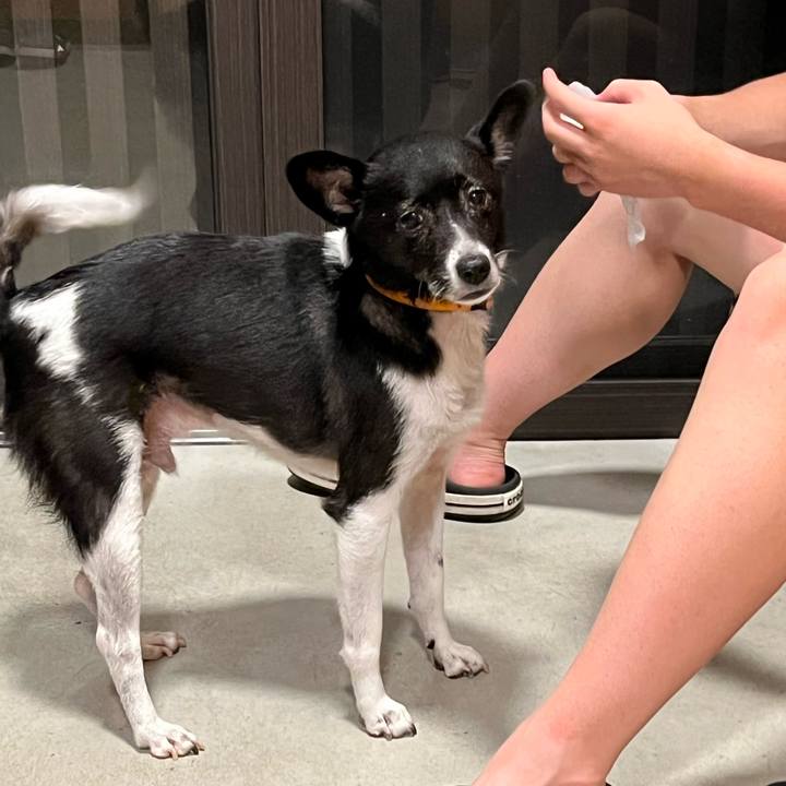 6f4a2d3e ab48 40a1 8d8a c865a442b9df 1660480491543