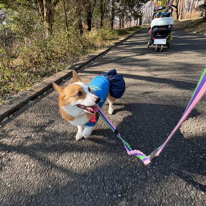 6f4a3357 2a72 463e b545 78eb33c9faa3 1771842981068