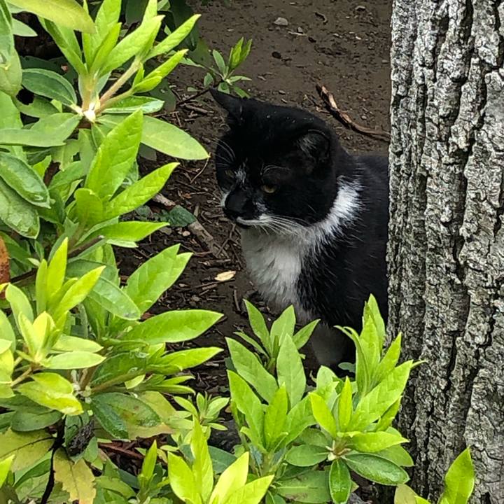 6f4a46cc 41b3 4e4d a2f8 191eba71f30a 1554928966146