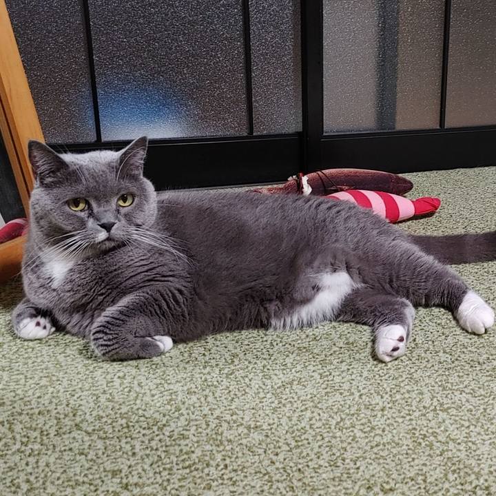 6f4ae662 450d 40a1 8163 49dc2d642fc7 1701439018451