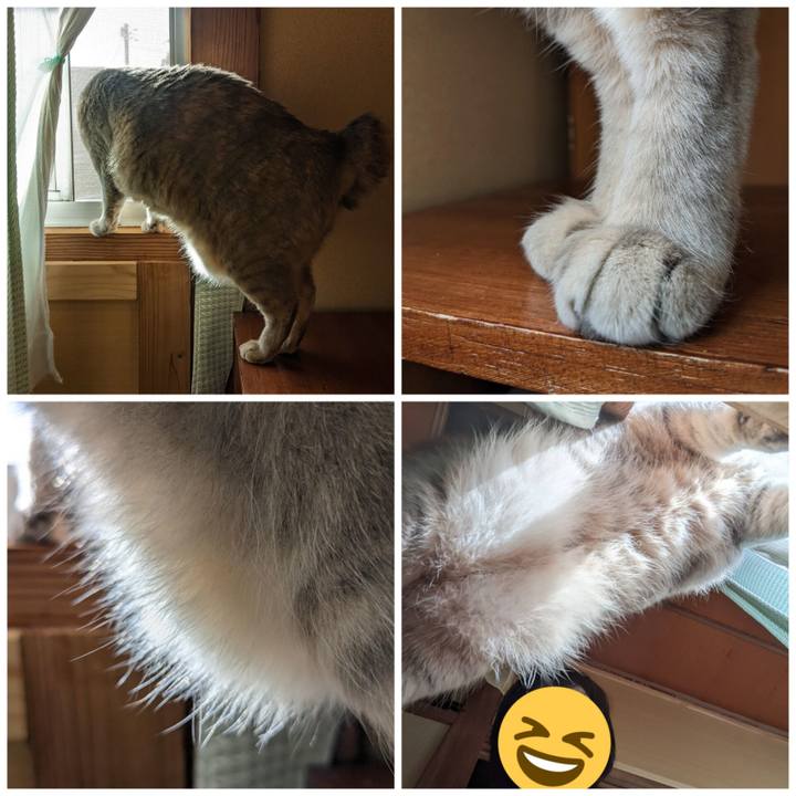 6f4b8143 a918 476d 972e 7d7b3cec4c6f 1681103949350