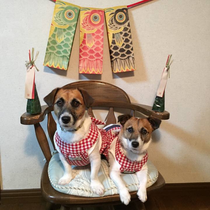 6f4bc5e2 4b5c 40c4 95b1 33ca0d7378ad 1525519597608