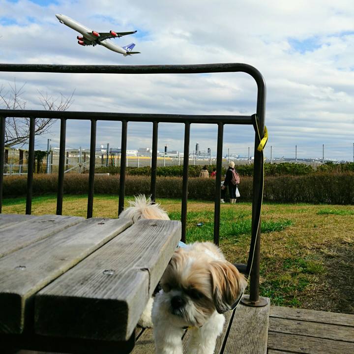 6f4bef62 356c 4a98 8bfb ea4e60cabb95 1543061697830