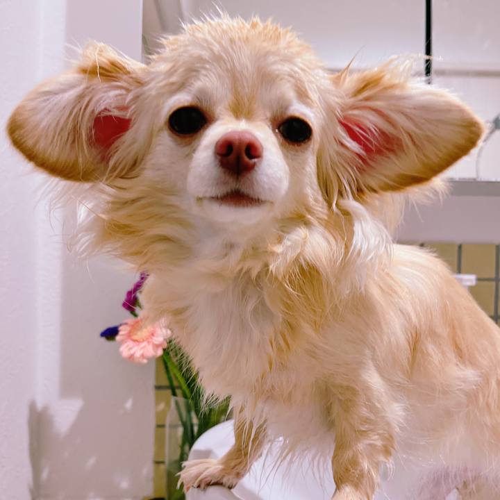 6f4c2168 8d9b 46f7 b716 692b93a8e257 1651052359359