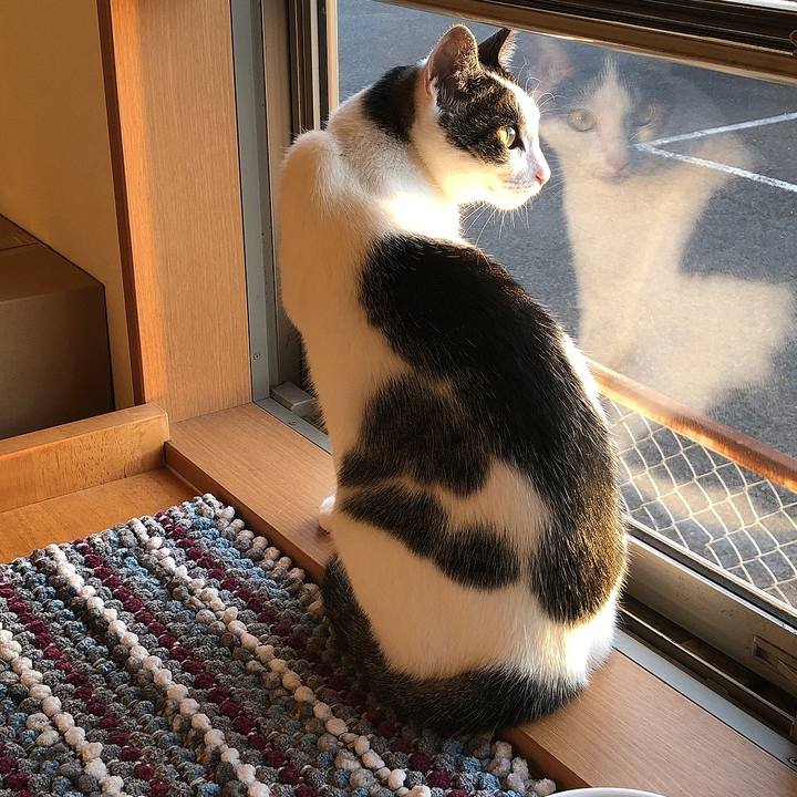 6f4cc719 374b 4d47 86d9 567a98774f67 1656447324028