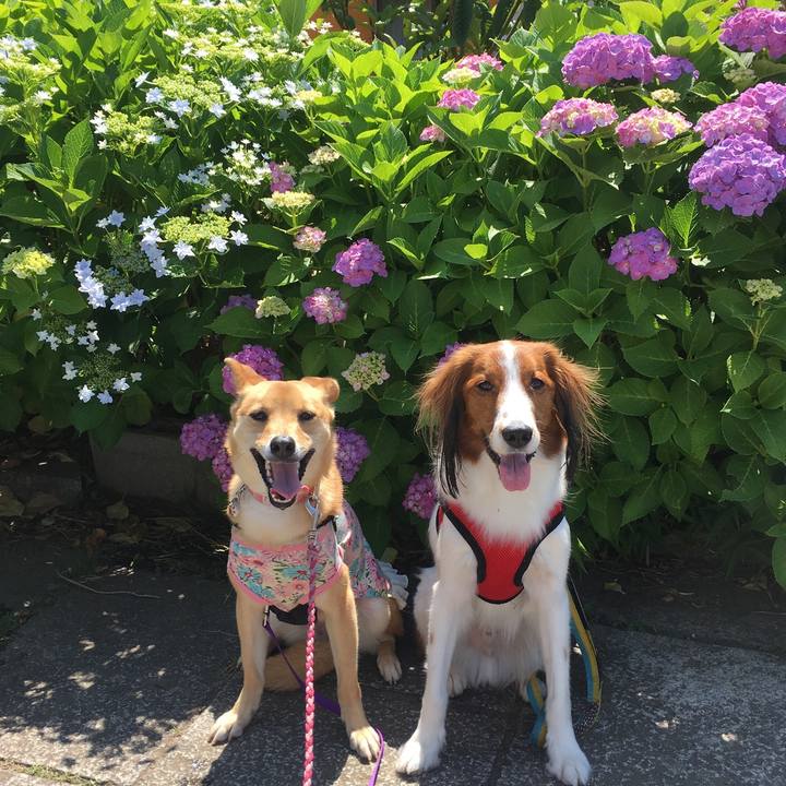 6f4cd287 7e71 4678 880c 154afb83a29b 1528009659436