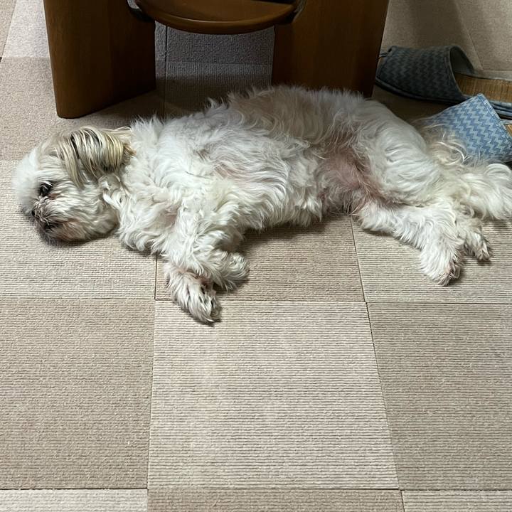 6f4d015b c0ea 4968 a0d7 91d5ecef6322 1691649341268