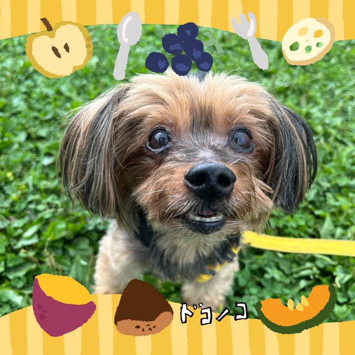 6f4d10e5 c5ce 4ccf 8844 1c6f8663f8e6 1726827675584