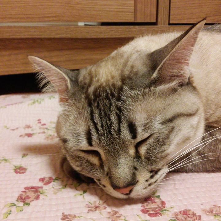 6f4d31dd 7973 4622 b0ce d3d7bb14e760 1528031090898