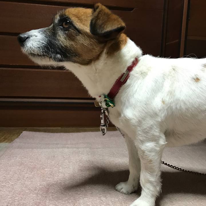 6f4d3ba6 cf37 444b afdb d03042b93dcf 1511865987429