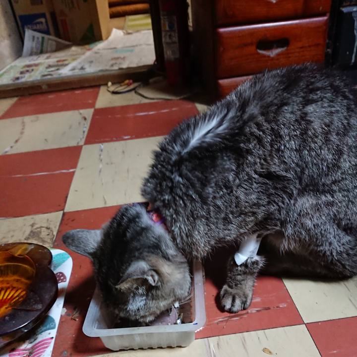 6f4d4762 7fef 4264 9d20 930f8f45eb7a 1595502886432