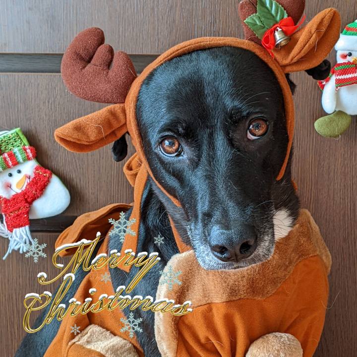 6f4d588d 41d0 48af a844 978cfbec9758 1640309751114