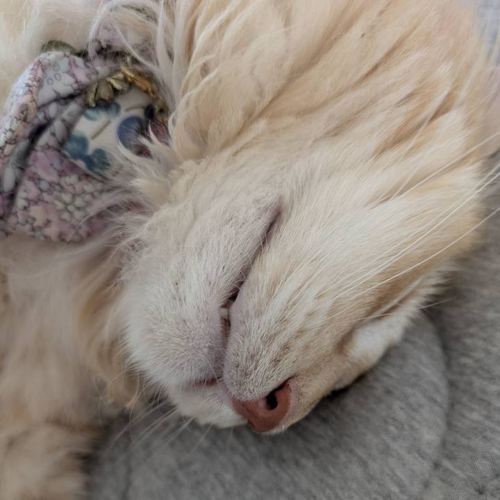 6f4d90a0 2dfc 4447 a837 98cc5d8c963f 1756886511440