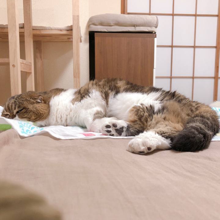 6f4d9cf2 b4ee 4eaa 9a4f d7b10281da40 1623250374414