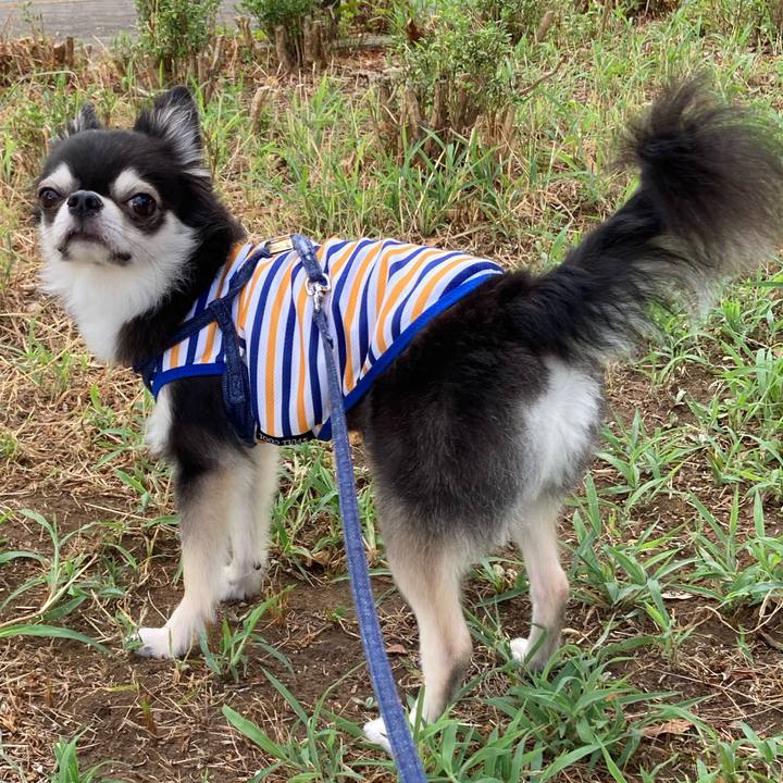 6f4d9e2e 4d74 4aca bec6 7cd5f64a332a 1691768105160