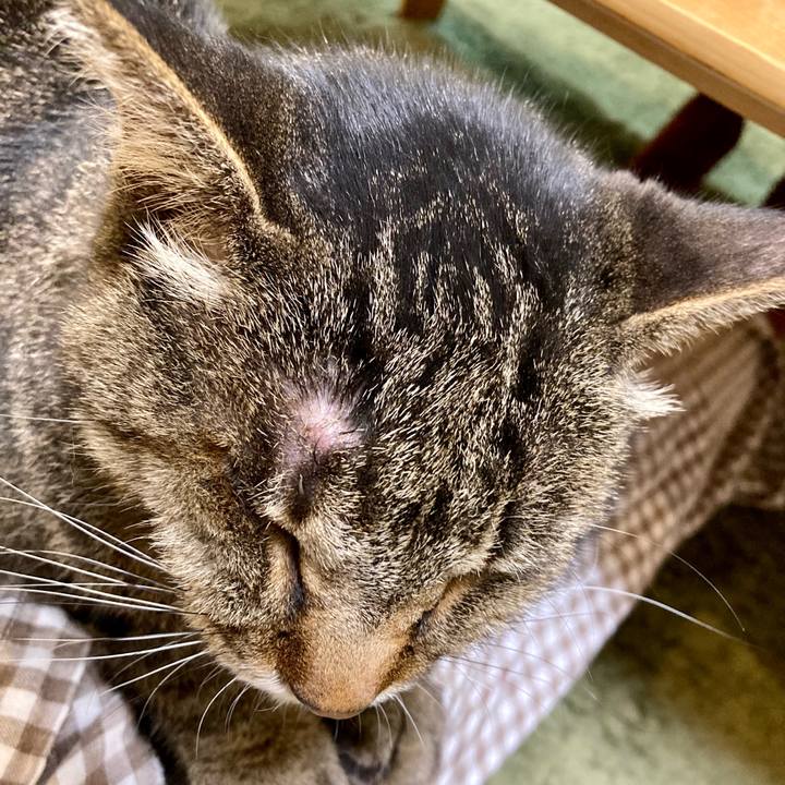 6f4dbcbc 381f 42a5 bdd7 c470bb5dcc9c 1654513086462