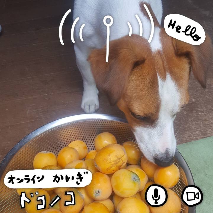 6f4dc6e1 bd6c 4b08 8d97 db84126dc1d6 1590826368697