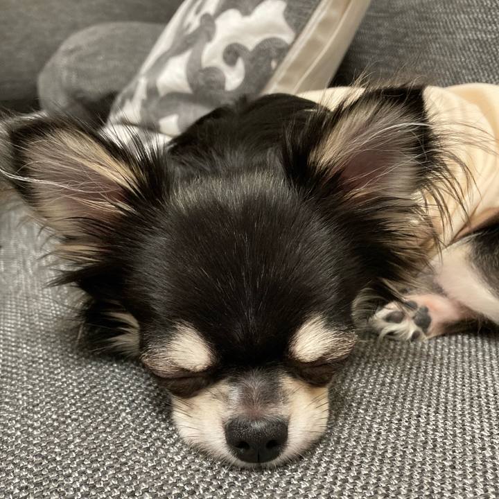 6f4de1c0 d517 46fa b946 361eb7f25b51 1605449544896