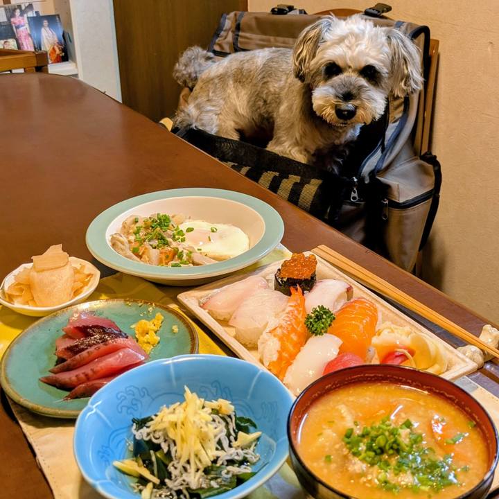 6f4de9a9 d121 4440 a37e 3654252d5d98 1760618639893