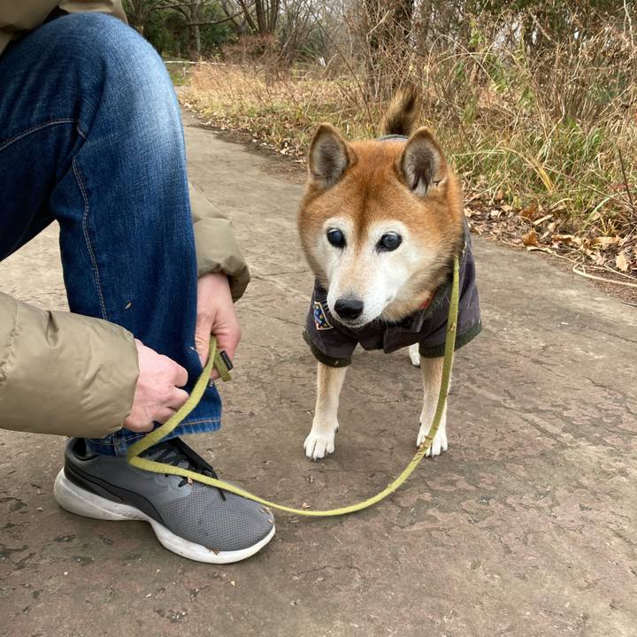 6f4dece7 3230 4c25 a744 bae0c61e8528 1704166846004