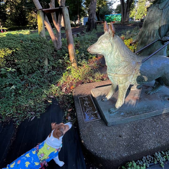 6f4df914 b1bf 438b 8ced 071ce128b98a 1757228457040