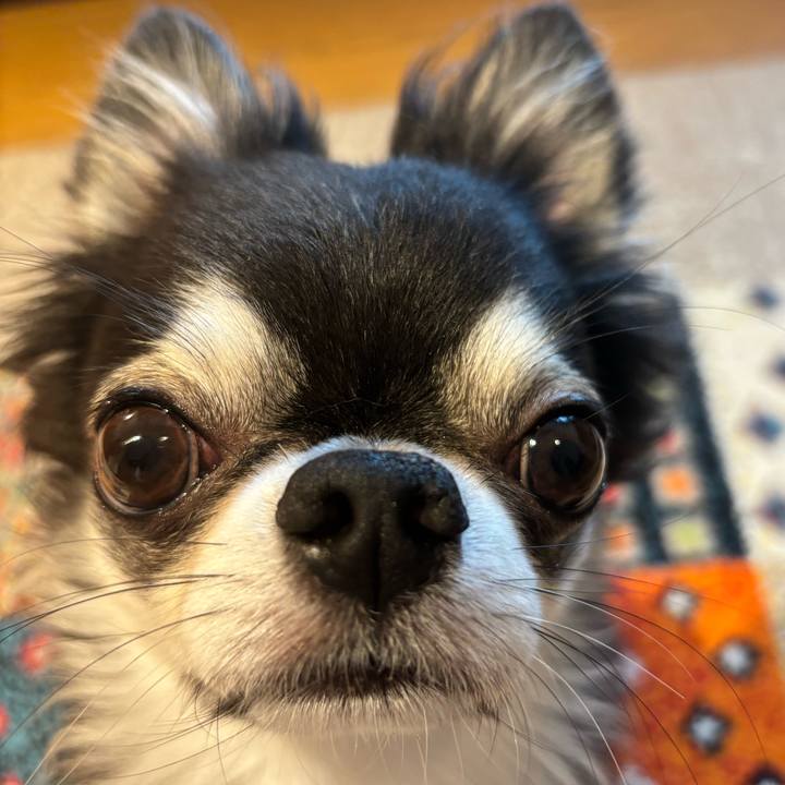 6f4e412e 31f3 4fc9 9b80 fcc73a7bd6a4 1726876192288