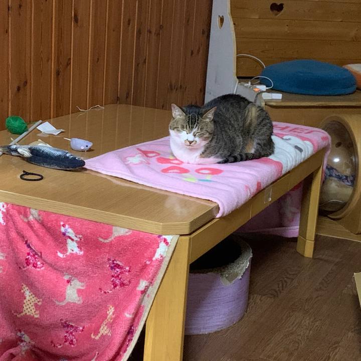 6f4e47d1 3010 4626 a191 672dc6f4ef66 1650973964771