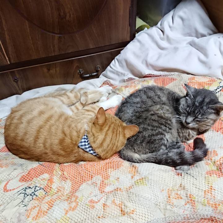 6f4e5191 033a 4efd 8cf5 16370e72c6b1 1569505369342