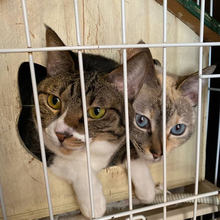 6f4e71a8 e24f 4573 9840 adaeb7ef9df5 1705120790547