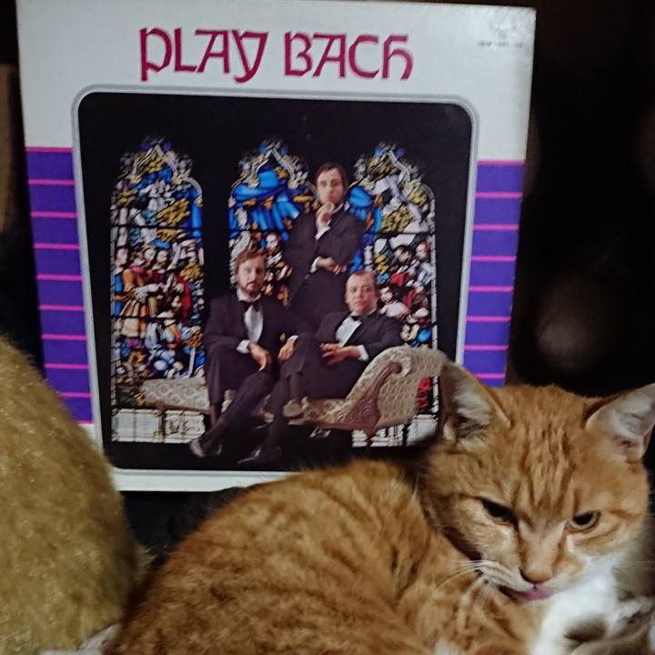 6f4e7b39 781e 455e 8871 fdc3f496c56a 1607340774772