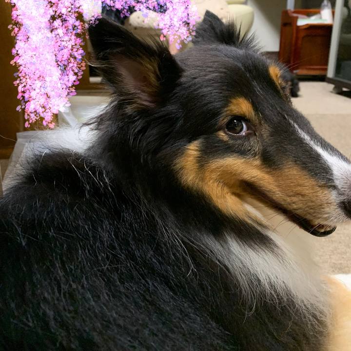 6f4eb320 d9eb 4daf b31e c03abc3004a7 1599104672275