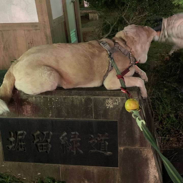 6f4ee3bb 8fb4 4431 944f 968cf6f9f48a 1578743922478