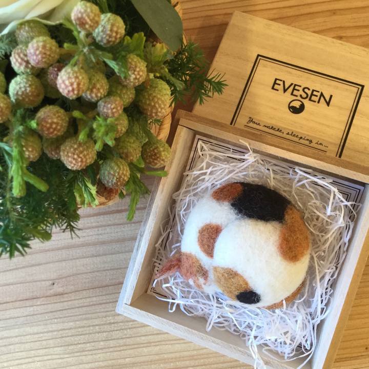 6f4fa11f 9074 42d9 98dd a6cf93a90ec7 1551485524306