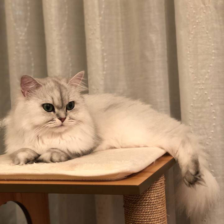 6f4fad72 e448 4c4c a49d 1ae76d9dc89d 1533041727980