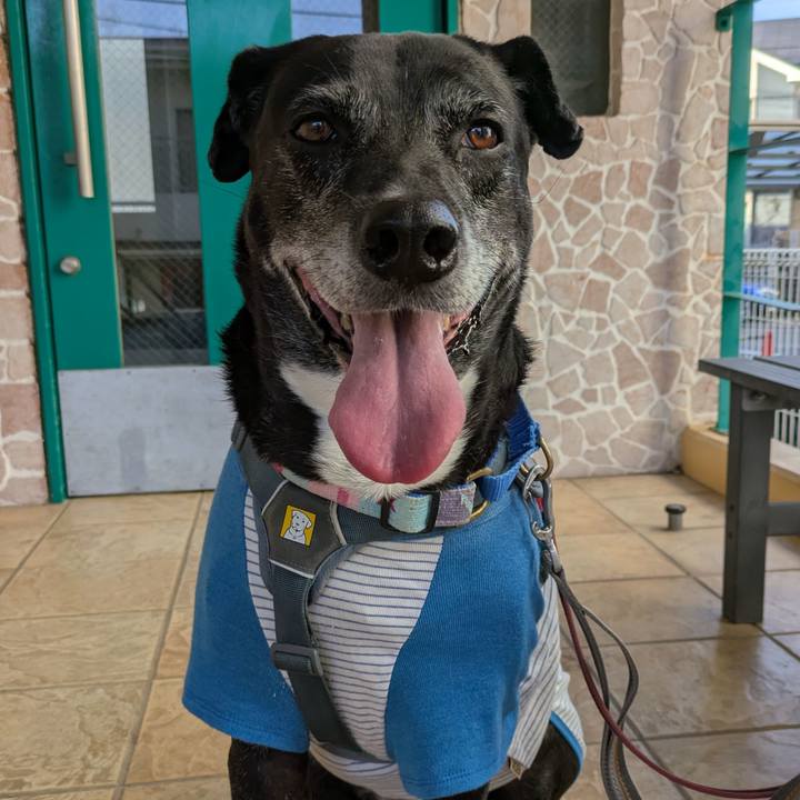 6f4fcfb2 695a 4dd1 83f1 433c5ba5b112 1763982348545