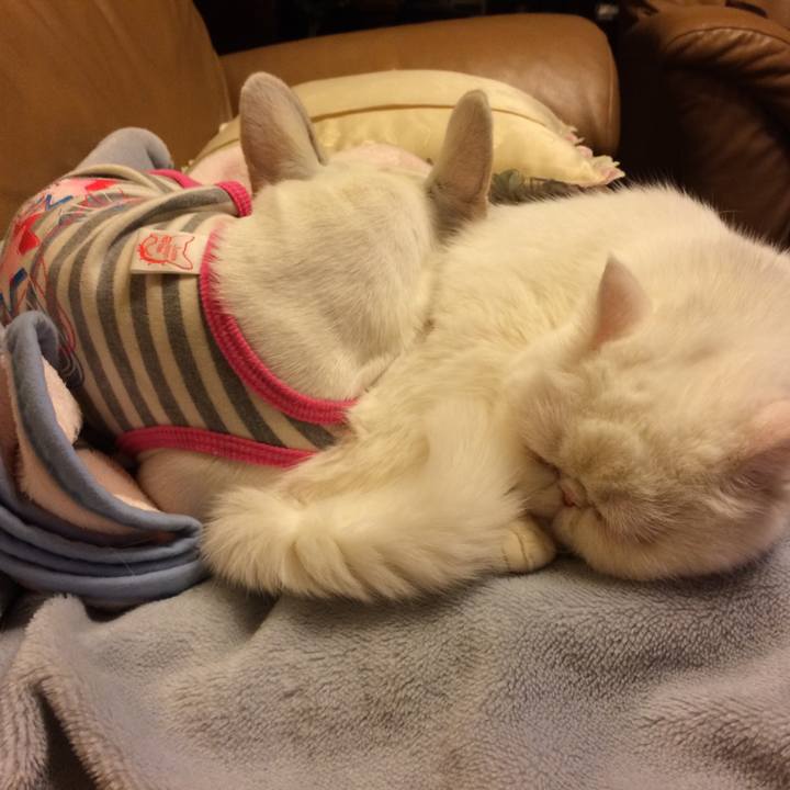 6f4fdbd4 61e8 4d30 8684 d93c05c77594 1590061614345