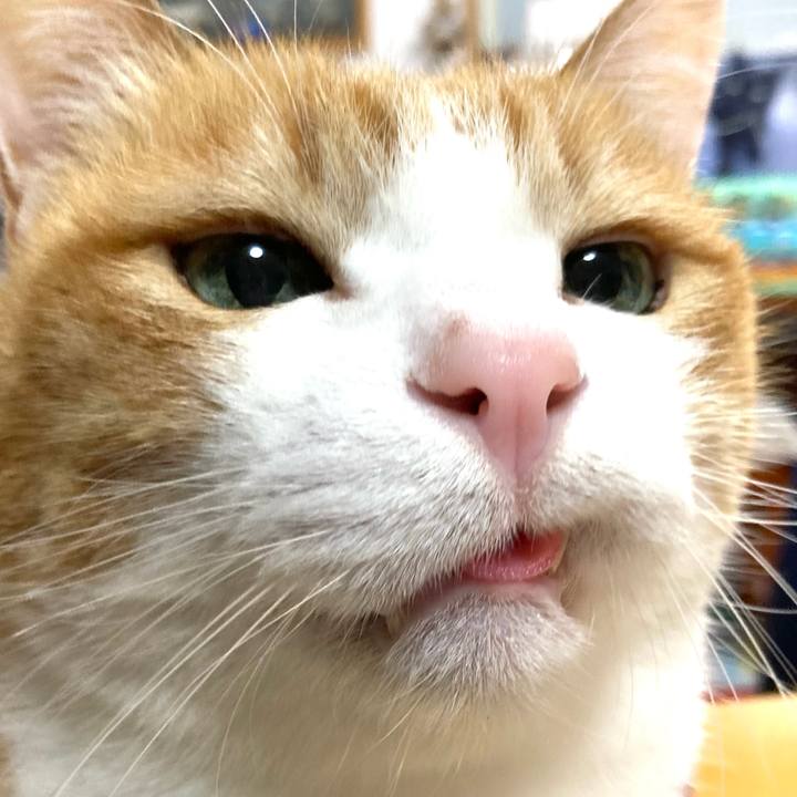 6f50119e 3348 4460 a609 832a89e182c5 1771040531835