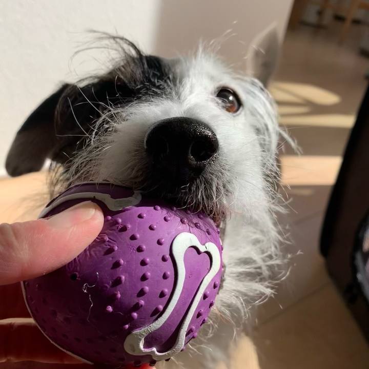 6f502657 5475 4cd4 bc72 6f1defc0da9c 1646628219257