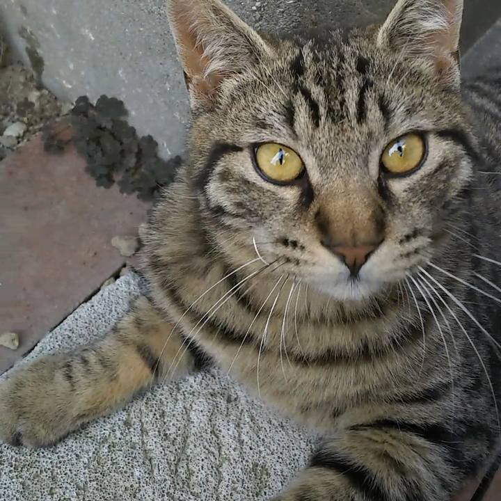 6f503bd2 6e0f 4683 a355 b127048b3e0f 1557649737861