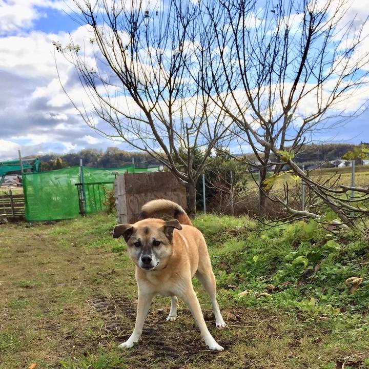 6f504085 b66f 468e 8b4c 380987897515 1511064399699